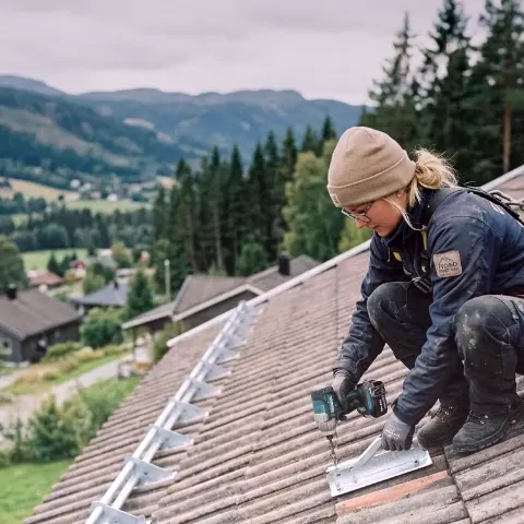 Falter Wool – Dachreparaturen